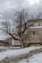 Fortress church and old tree